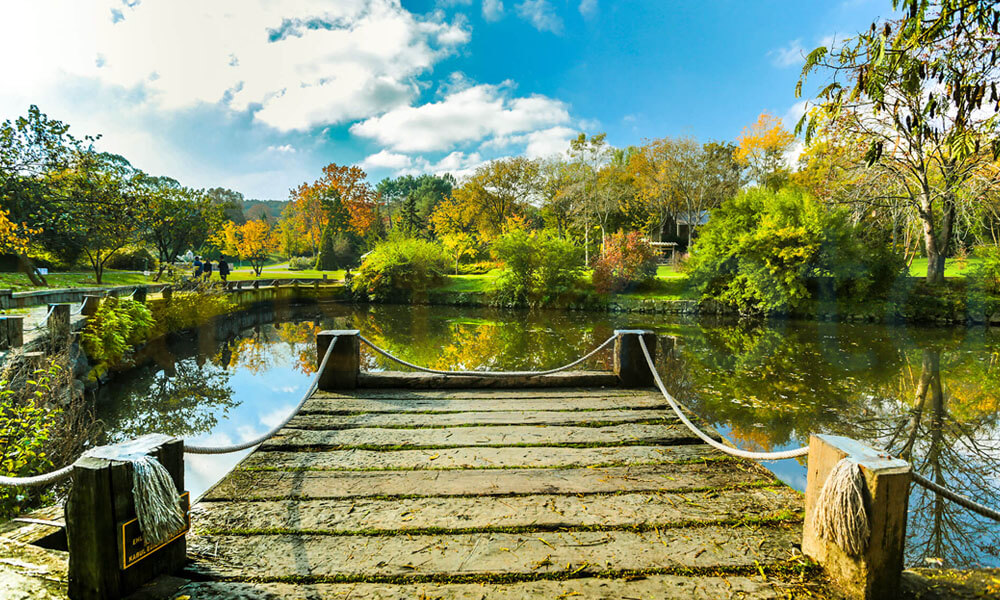 Arboretum Göleti