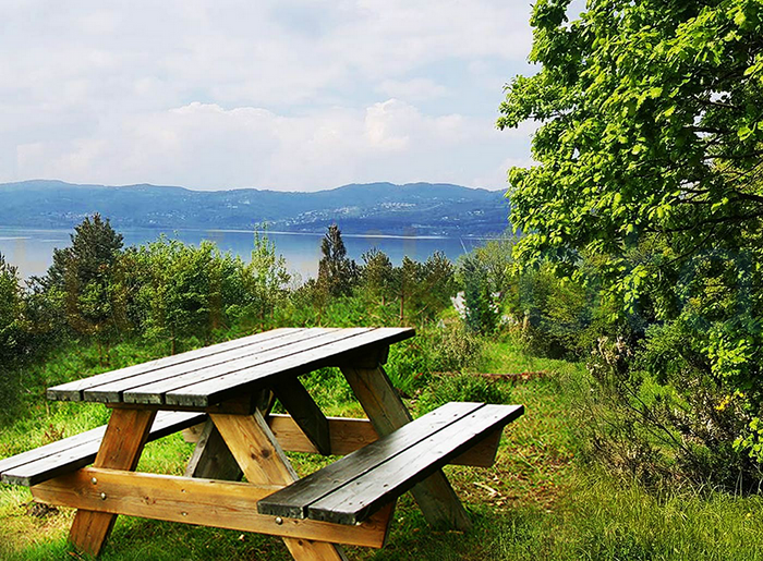 Sakarya İl Ormanı Tabiat Parkı